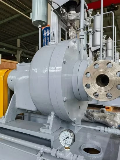 Suction Power Generation Industry Hydraulic Vacuum Centrifugal Pitot Pump With Good Service price
